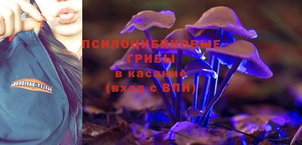 каннабис Богородицк